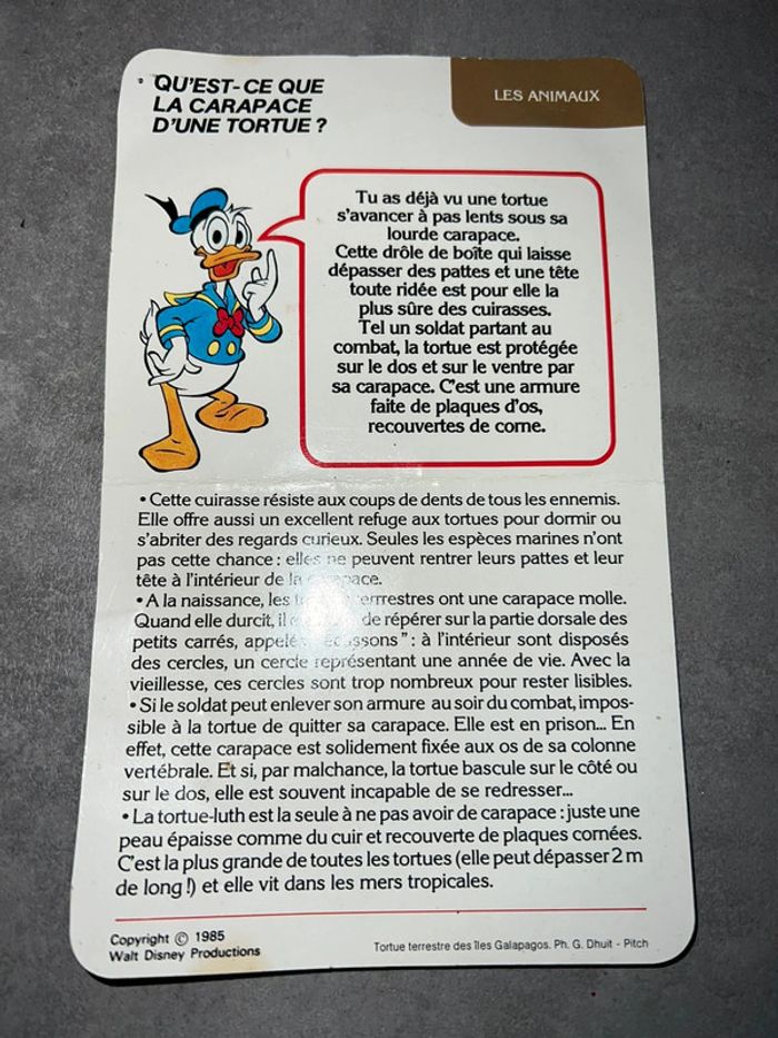 Vintage rare 1985 fiche éducative tortue Disney Donald - photo numéro 2