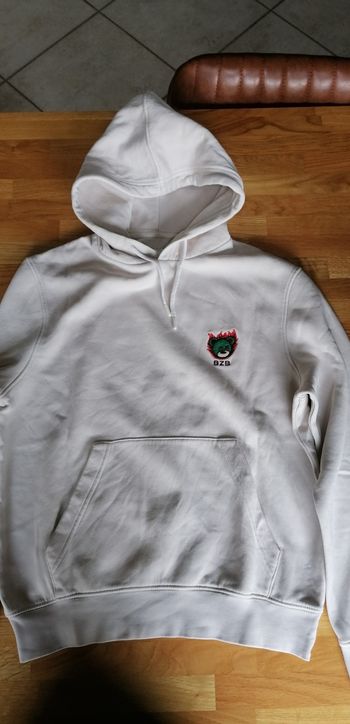 Sweat capuche garçon 12 ans Bizzbee