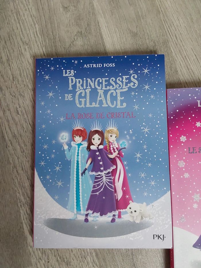 Lot de 2 livres Les Princesses de glace - photo numéro 4