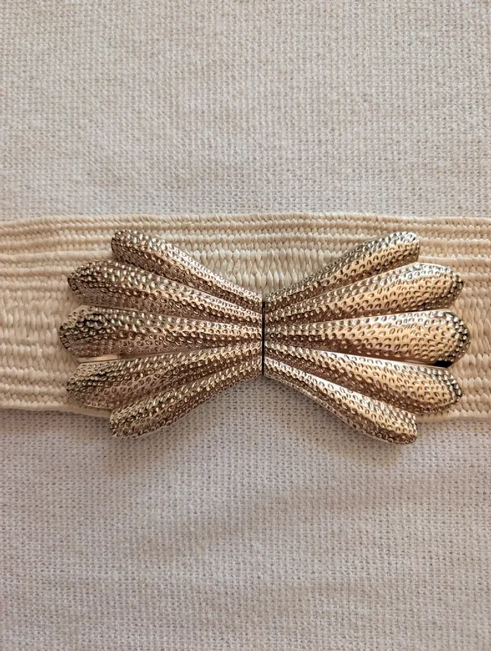 Ceinture coquille - photo numéro 3