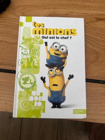Les minions Qui est le chef ?