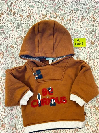 Sweat à capuche/ pull obaibi 9 mois