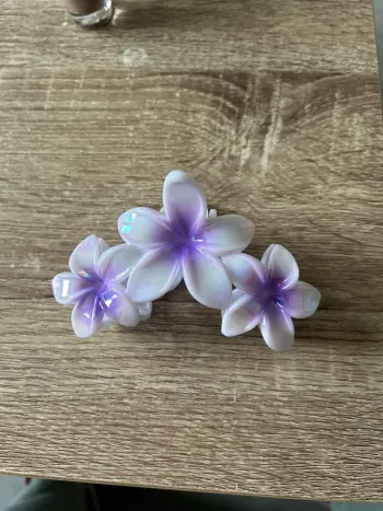 Pince à cheveux