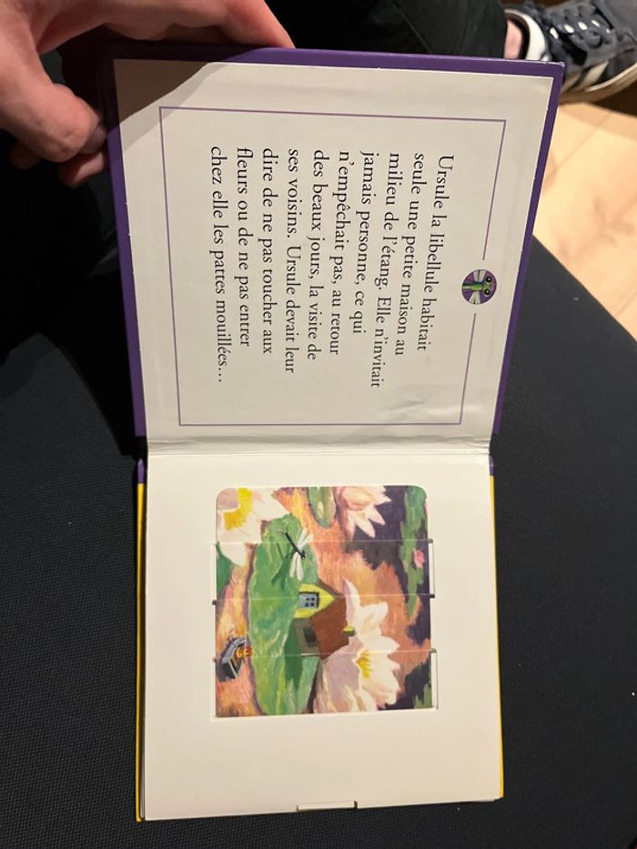 Livre pour enfants antoon krings Ursule la libellule - photo numéro 3