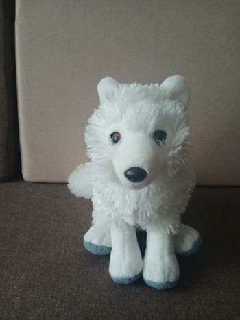 Peluche