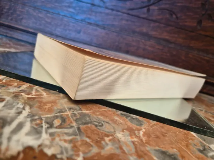 📚 L'ombre du Vent 📚 - photo numéro 3
