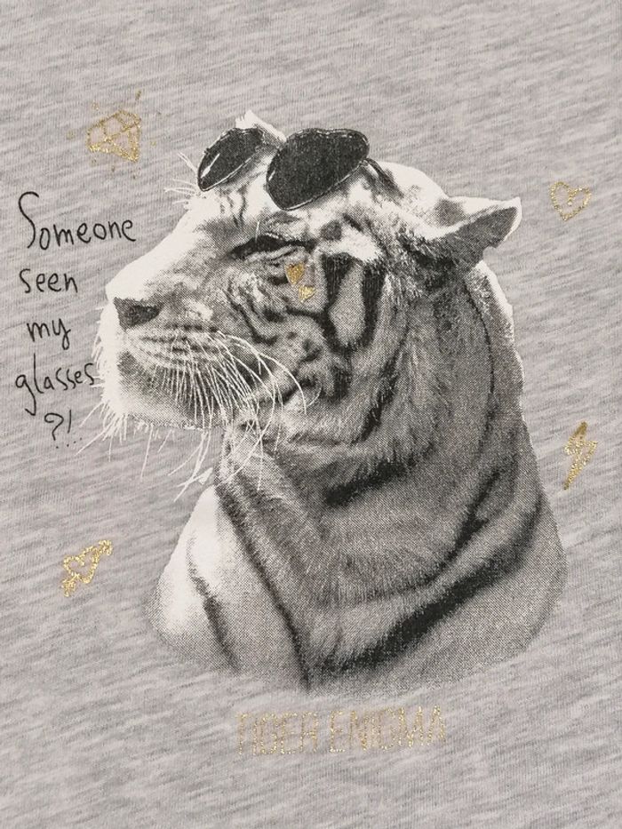 Sweat manches longues T 2 ans 🐅 - photo numéro 4