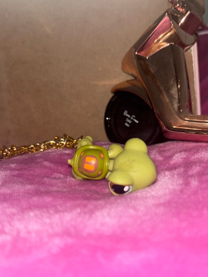 tortue #8 - photo numéro 3