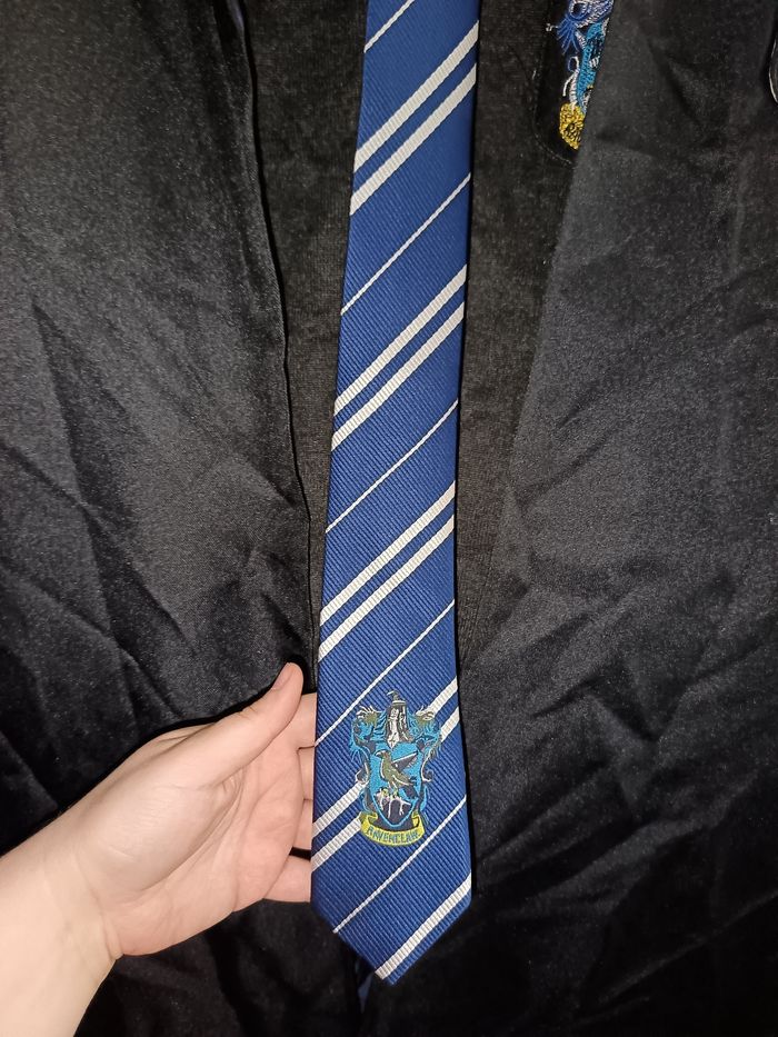 Déguisement homme ou femme ravenclaw Harry potter - photo numéro 4