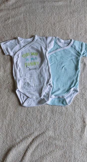 Lot 2 bodys été manches courtes bébé garçon 12 mois