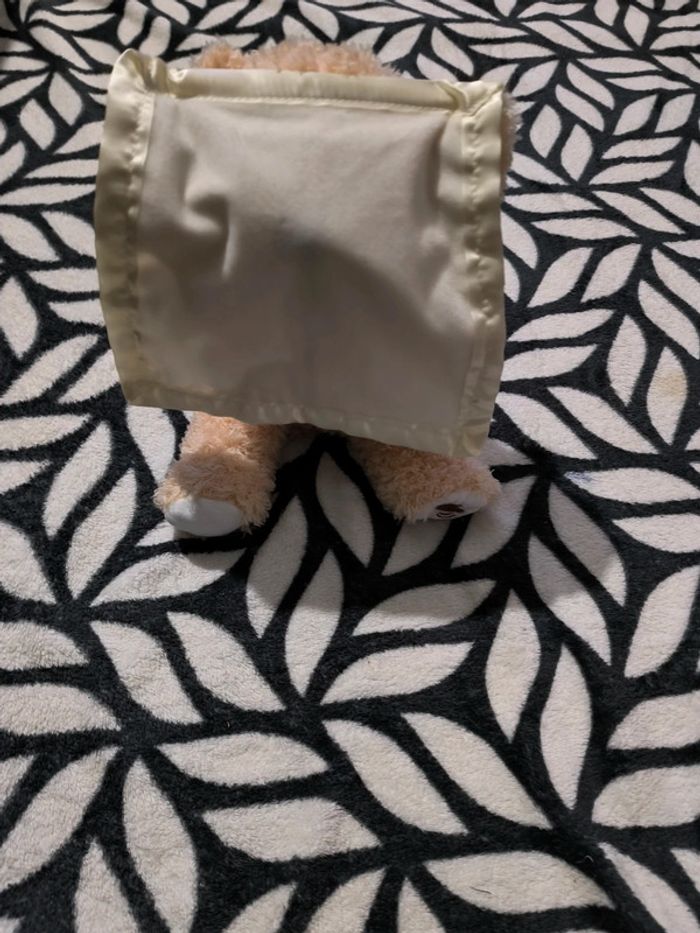 Ourson qui joue à cache cache - photo numéro 2