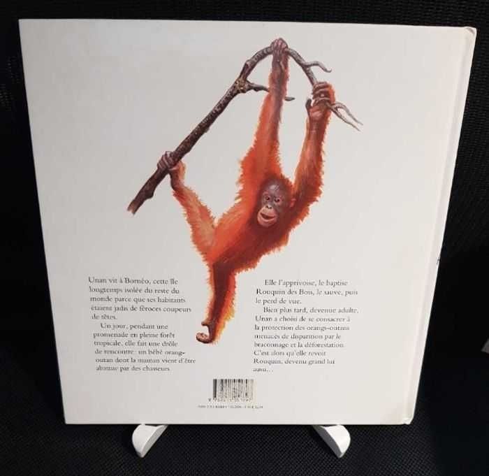 Rouquin des bois - Serge Strosberg - École des loisirs - photo numéro 2