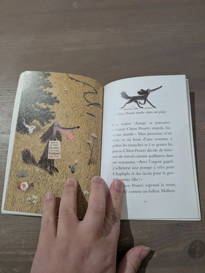 Chien pourri - photo numéro 5