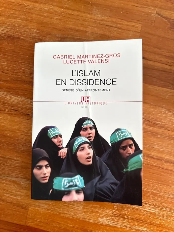 Livre l’islam en dissidence