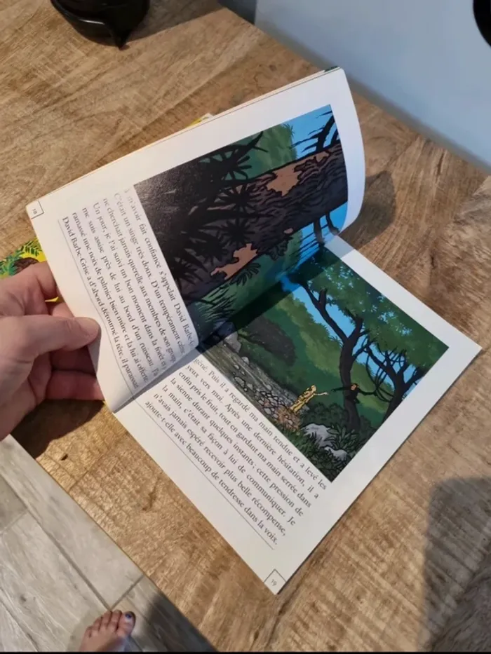 Histoires vraies erasme sos singes en danger - photo numéro 3