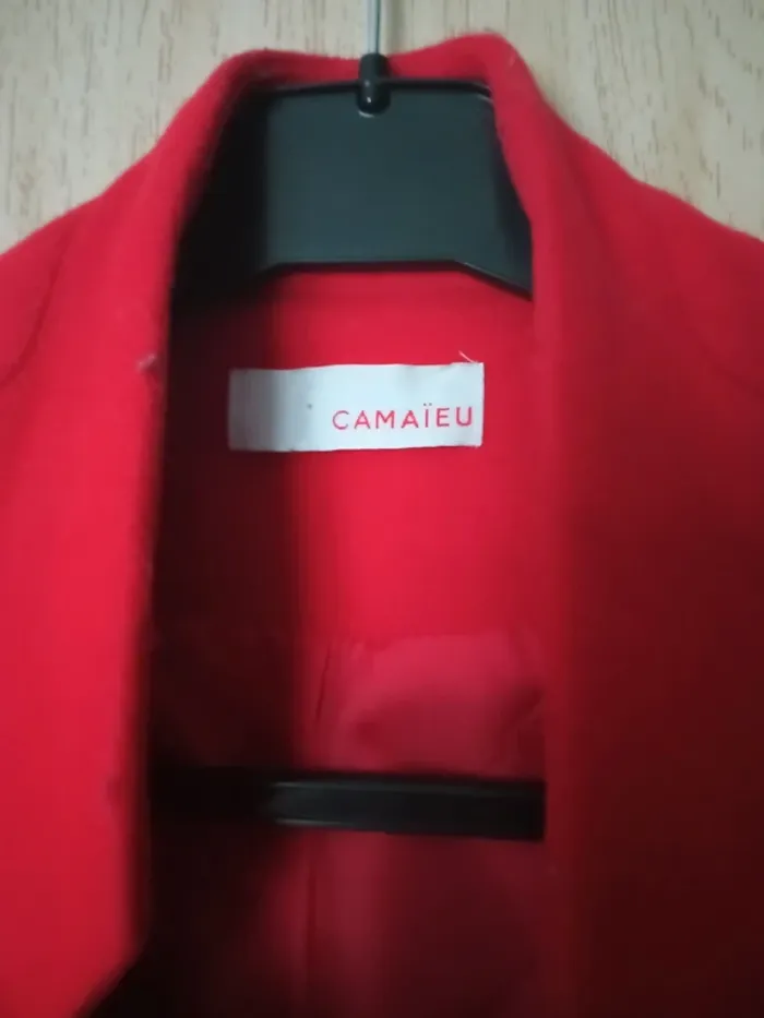 Manteau femme - photo numéro 3
