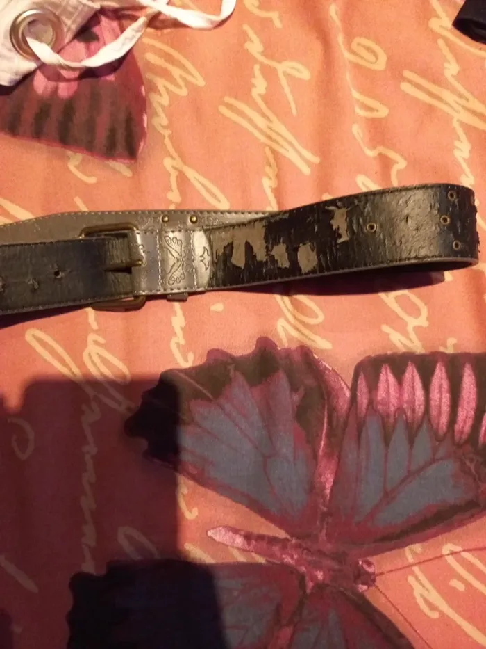 Ceinture - photo numéro 3