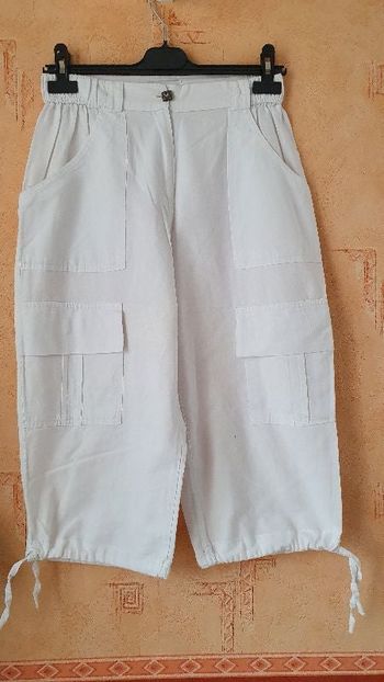 Pantacourt La Cotonneraie T.2