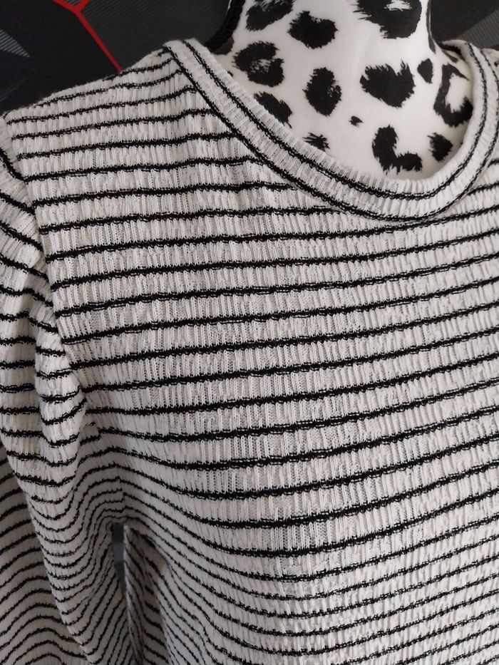 Haut rayer - photo numéro 3