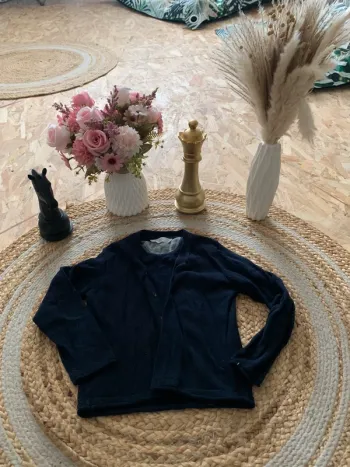 Gilet mango