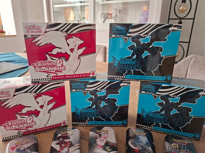 Pokémon 10.5 noire et blanc - photo numéro 2