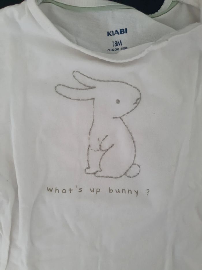 Lot t-shirts manches courtes 18 mois - photo numéro 8