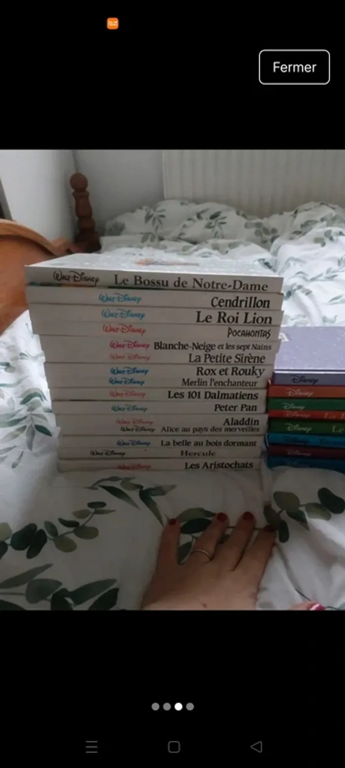 Lot livre Disney - photo numéro 3