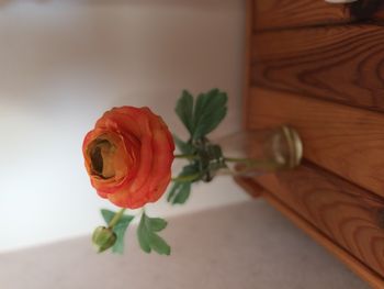 Fleur renoncule artificielle dans un vase