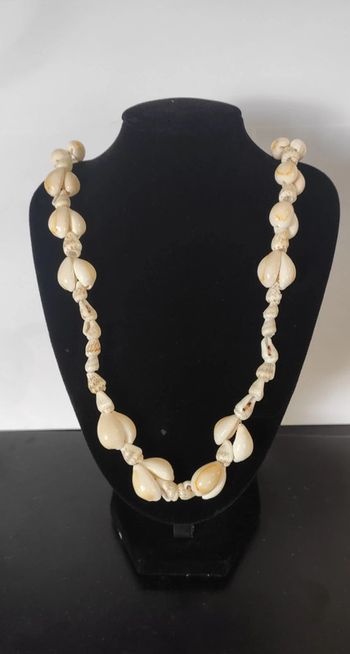 Collier coquillages