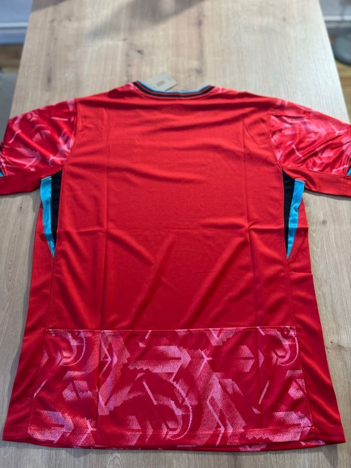 Maillot de foot Corée - photo numéro 2