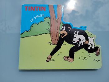 Livre à la forme rigolotte Tintin Le Singe 🐵 (26)