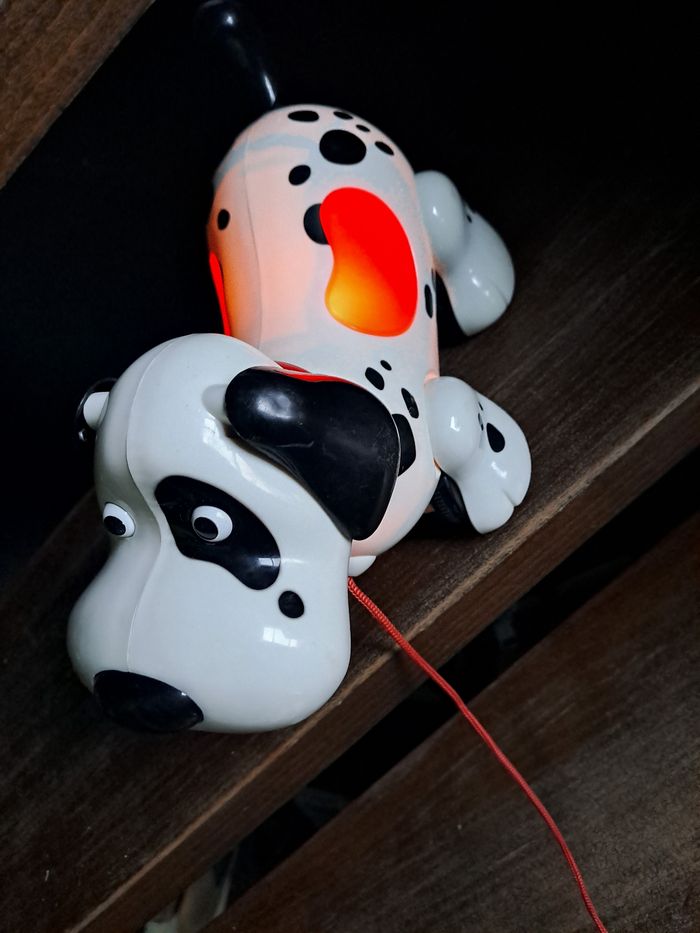 Chien a tiré avec son et lumiere