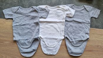 Bodies manches courtes 3mois