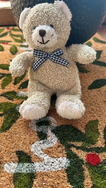 Ours en peluche nœud vichy bleu