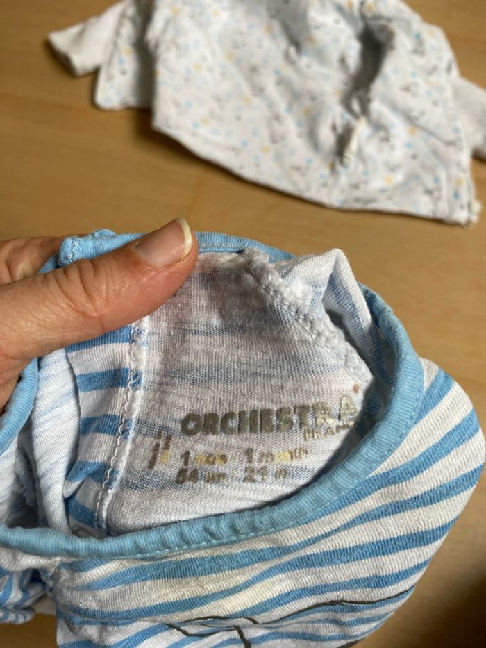 Ensemble koala - photo numéro 9