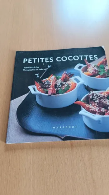 Petites cocottes livre de cuisine