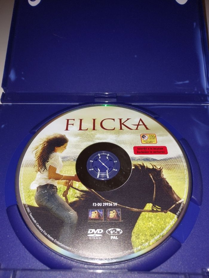 Dvd Flicka l'audace de rêver - photo numéro 2