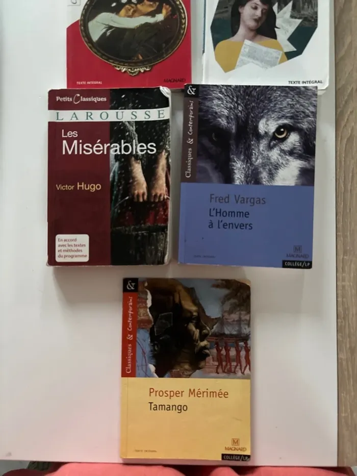 Lot livre - photo numéro 2