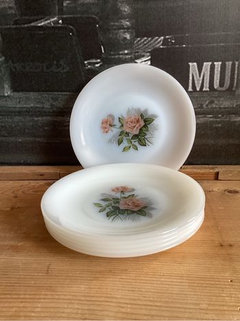 6 assiettes à dessert arcopal 