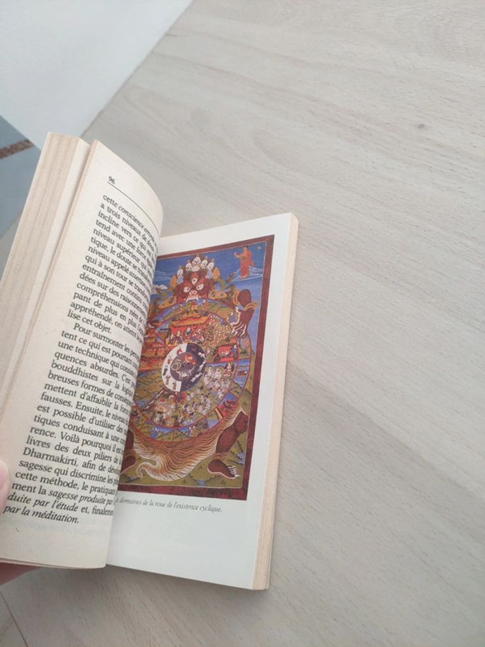 Livre poche le sens de la vie réincarnation et liberté Dalaï lama - photo numéro 6