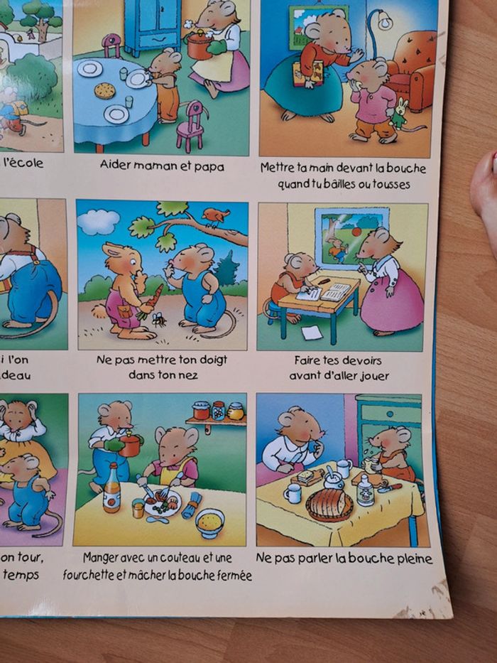 Lot de 3 posters plastifiés pour l'apprentissage #chantecler - photo numéro 5