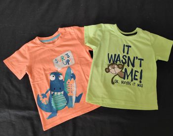 Lot de 2 tee shirt 24/36 mois