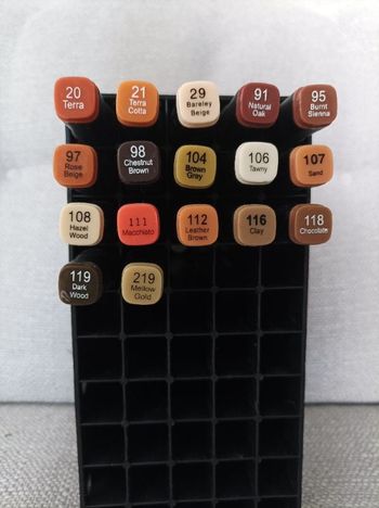 Feutres Twinmarkers tons marron neufs