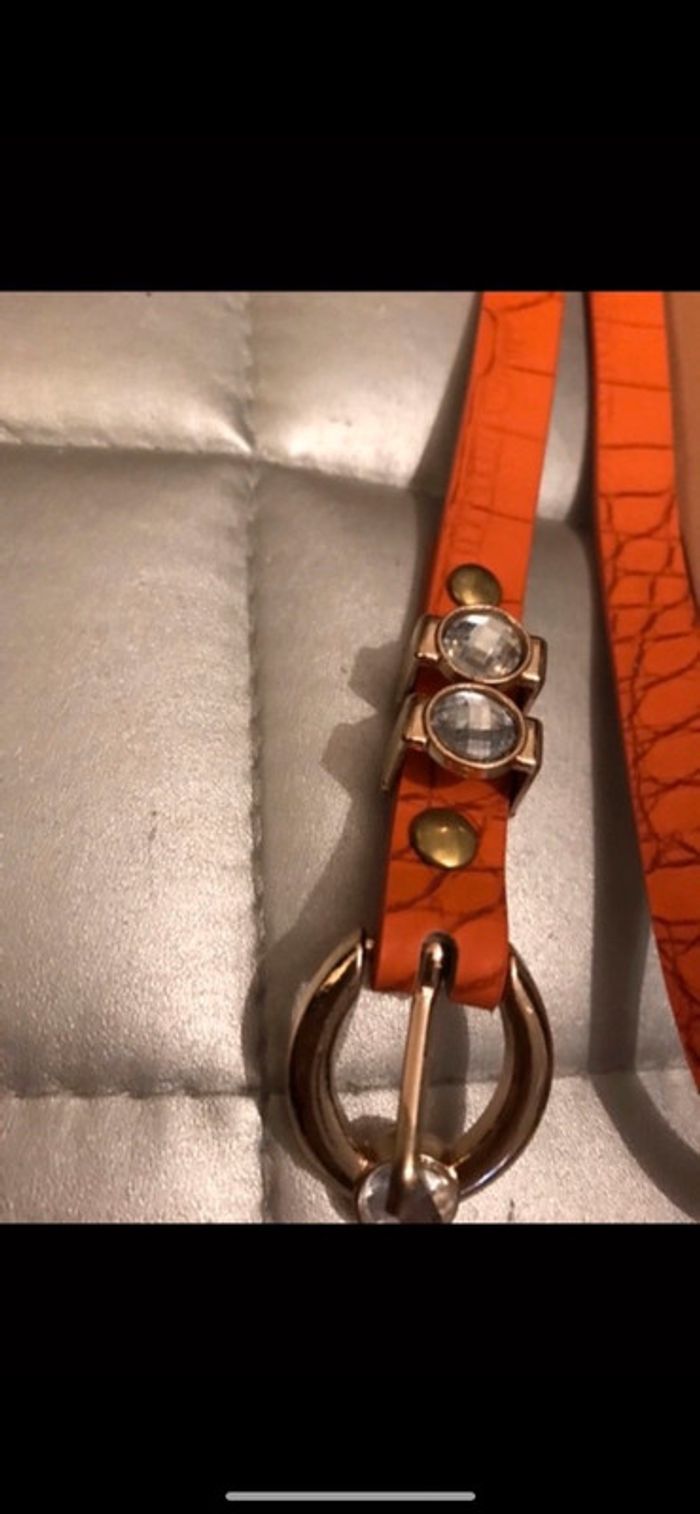 Ceinture camel neuve