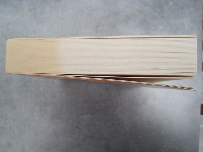 Livre "Sacrifier une reine" Laurie R. King - photo numéro 6