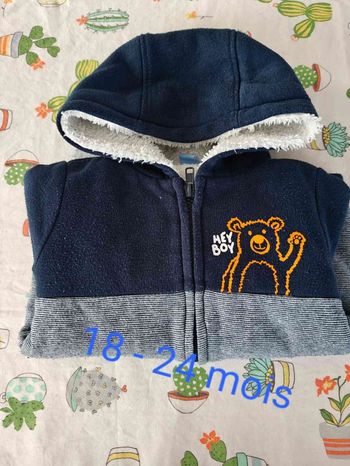Sweat-shirt à capuche dopodopo 18 24 mois tbe 