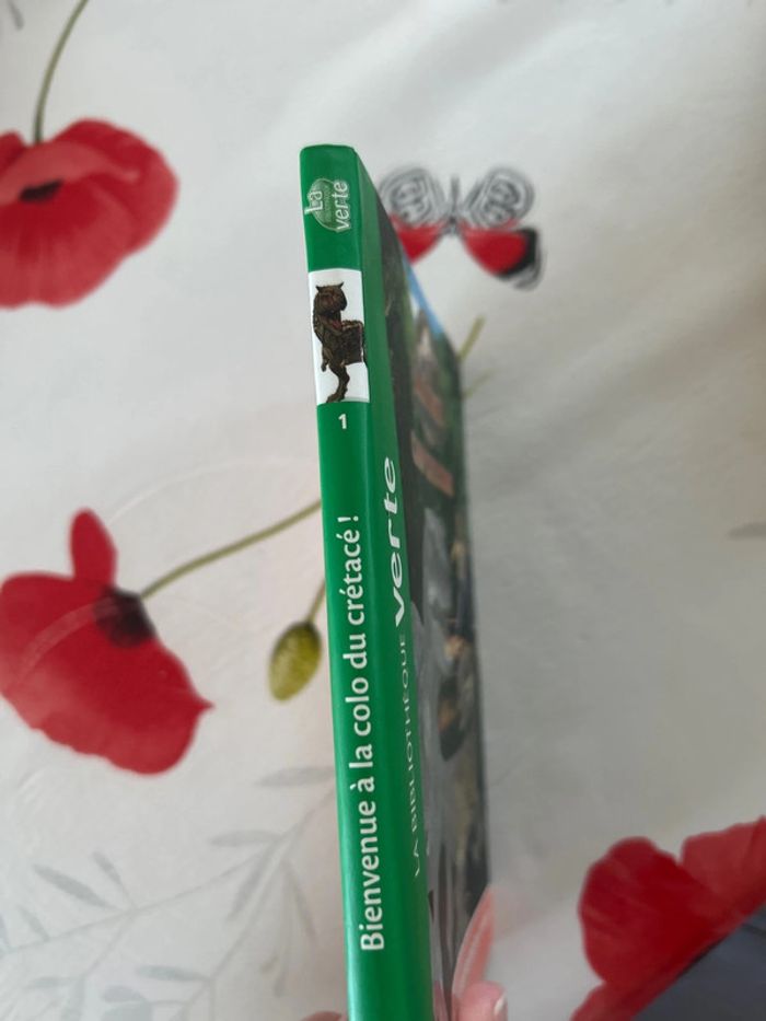 Livre Colo des Crétacés n1 - photo numéro 4