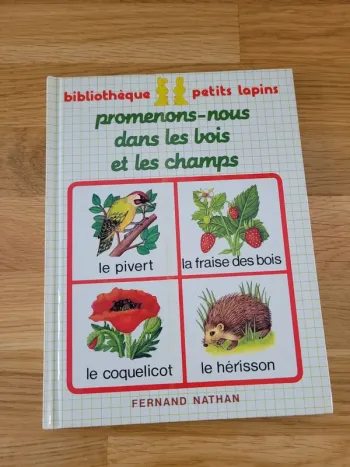Livre enfant