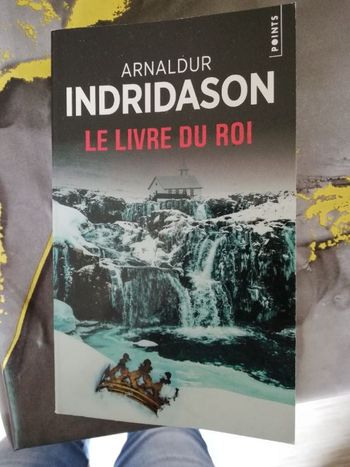 Le Livre du Roi. Indridason.