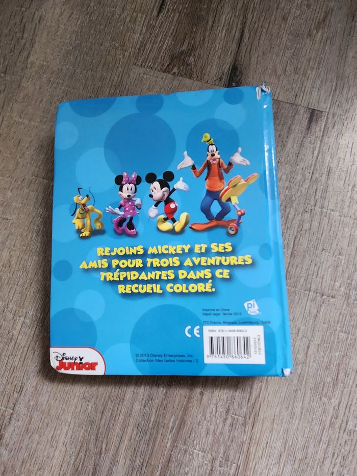 Livre la maison de mickey - photo numéro 2
